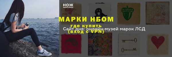 стаф Волоколамск