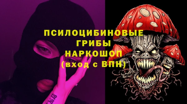 spice Верхний Тагил