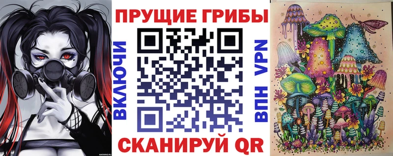 Купить закладки  Муравленко  Псилоцибиновые грибы Psilocybe 